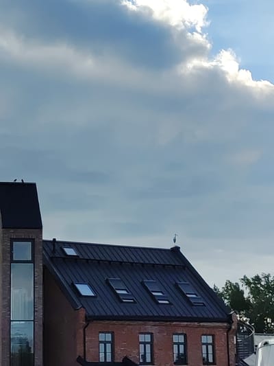 The image shows a cloudy sky over a brick building with a dark metal roof. The building has several skylights and a tall, narrow window on the left side. Two birds are perched on the peak of the left side of the roof. A bird, possibly a heron, stands on the ridge of the roof on the right side of the building. Trees are visible in the background on the right.