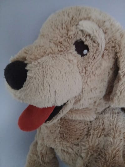 The image is a close-up of a plush toy dog. The dog is light brown with a black nose and a red tongue sticking out. It is positioned against a plain, light blue background. The lighting is diffuse, and there are no discernible shadows. The image does not contain any information about the city of Vita-Poshtova, Ukraine.