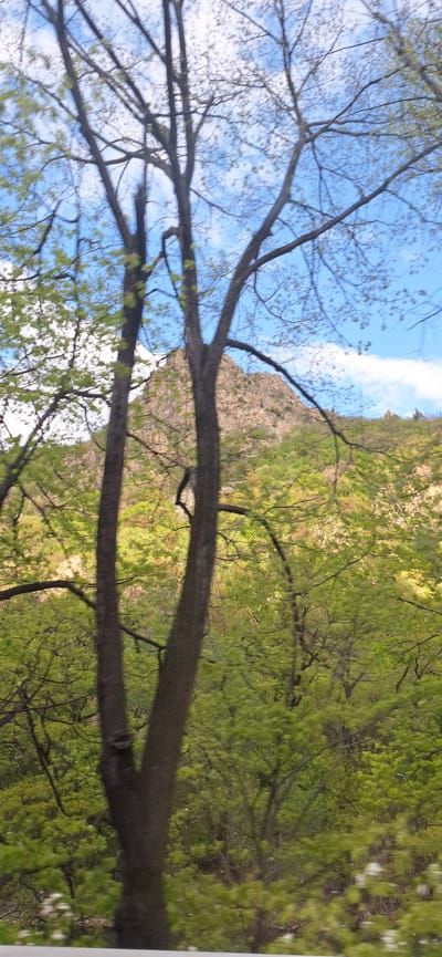 The scene is a view through the branches of trees, seemingly in Stara Kresna, Bulgaria. The sky is visible with a mix of blue and clouds. A rocky hill or cliff can be seen in the distance, partially obscured by the trees. The trees are filled with green leaves.
