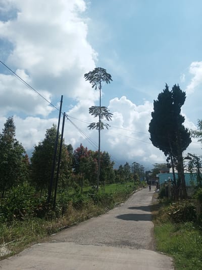 A ground-level outdoor shot depicts a narrow asphalt road winding through a rural area, likely within Zeyathiri District, Myanmar. The road, showing signs of wear and tear, curves gently to the right and recedes into the distance. On either side of the road, vegetation including tall grasses, bushes, and trees, grows.
Several trees are visible, including a tall, sparsely branched tree. A line of utility poles and wires runs along the left side of the road, adding a vertical element to the scene. Further down the road, a person is seen walking away from the viewer, their details obscured by distance.
On the right side of the road, a blue building with a light-colored fence is visible. The sky, partially obscured by large, fluffy clouds, suggests clear weather conditions. The scene appears to be captured during daylight hours.