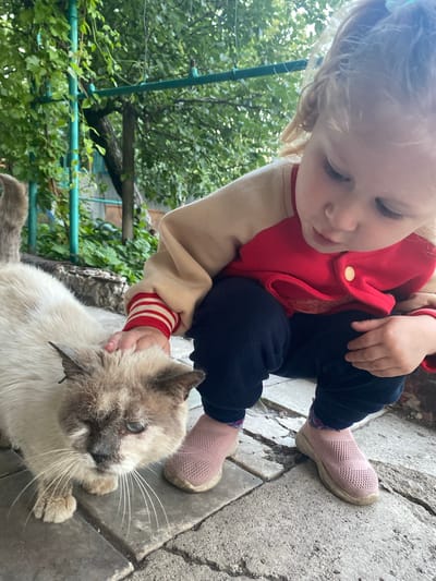 A young child with blonde hair, wearing a red top and dark pants, is crouching down to pet a light-colored cat with blue eyes. The cat appears to be a Siamese mix with light brown points on its face and ears. The scene takes place outdoors on a paved surface, likely a courtyard or patio, with lush green foliage and trees in the background. The overall setting suggests a residential area in an outdoor environment. The presence of the cat and child in what appears to be a domestic setting does not provide specific information that would indicate the location within the city of Маринопіль, Ukraine.