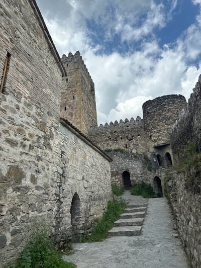 The image shows an outdoor view of the Ananuri Fortress Complex in Shalikiantkari, Georgia. The foreground features a pathway made of stone and dirt, leading uphill. To the left, a textured stone wall with visible mortar and small, arched openings runs parallel to the pathway. A narrow, wooden-framed window is set high in this wall. To the right of the pathway, the stone walls of the fortress rise, featuring crenellations along the top. Several arched doorways are visible in these walls, with some leading into darker interiors. A tall, square tower, constructed of stone, dominates the background on the left side of the complex, while a rounded tower is visible on the right. Green vegetation grows around the base of the walls and in some of the openings. The sky above is partly cloudy with white clouds against a blue backdrop. There are no people or animals visible in the frame.