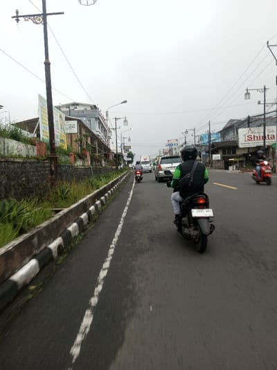 This forensic description details a street scene in Chagzam_Pam, Bhutan, under an overcast sky. The view is from a low perspective, looking down a multi-lane asphalt road with a dashed white line marking the left lane and a solid yellow line further right. To the immediate left, a black and white striped concrete curb separates the roadway from an elevated, vegetated embankment containing grass and scattered plants. A decorative, ornate black street lamp post stands prominently on the far left.
In the midground, a person rides a dark scooter, seen from behind, wearing a black helmet, a lime green vest over a dark garment, and light-colored pants. A black fanny pack is secured around their waist. The scooter's license plate reads "F 2685 WBI" with "10 27" below. Ahead in the left lane, another individual on a dark scooter is visible, also from behind. In the right lane, a white SUV or minivan is followed by a white truck or van in the distance. Further down the road on the far right, a person on a red scooter, wearing a dark helmet, is also in motion.
On the left side of the street, behind the vegetated embankment, a low stone wall supports various billboards and signs. One prominent white sign with green text and a yellow sign with "AL HUDA" text are visible. Behind these signs and vegetation, a multi-story building with a light-colored upper facade and darker lower sections is present. The right side of the street features a continuous line of commercial buildings. Multiple street lamps with white lantern-style fixtures extend along both sides of the road. Visible business signs include a large white sign for "Shinta" with "Welcome Safe" above it and text in an unidentifiable language below, and another sign reading "AM GR..."