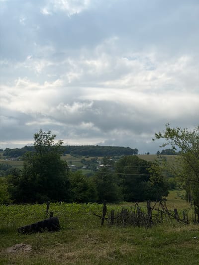 The image depicts a pastoral scene with rolling hills and lush greenery, typical of a rural setting. The sky is partially overcast with dramatic, wispy clouds, suggesting a dynamic weather system. In the foreground on the right, a rough, rustic fence made of branches and posts separates a grassy area from a densely wooded slope. Further into the landscape, houses and structures are visible, nestled amongst the trees and fields, indicating a small village or settlement. The overall impression is one of tranquility and natural beauty, possibly captured during the daytime under soft, diffused light. The orientation of the image is such that the horizon appears vertical, suggesting it may have been taken with a phone held in portrait mode and then rotated. There is no visible text in the image.