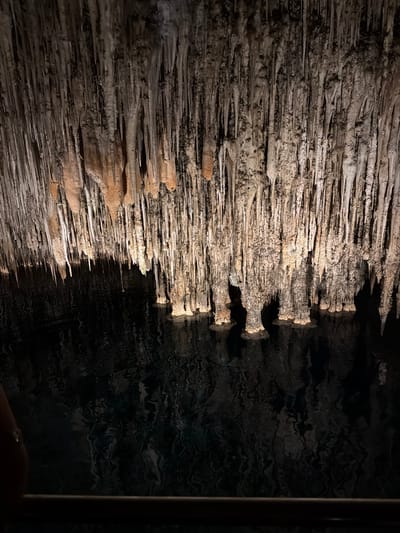The image shows a section of the Cuevas del Drach (Caves of Drach) in Manacor, Spain. On the left and center are closely packed stalactites illuminated by a spotlight, their surfaces varying in color from off-white to light brown. To the right, the cave wall recedes into shadow, revealing a textured, dark, possibly reflective surface that might be water or a further section of the cave wall. A vertical metal bar or pole is visible on the extreme right.