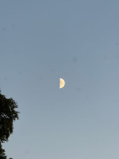 The image shows a pale, crescent moon in a clear, pale blue sky. On the left side of the frame, the dark green foliage of a tree is visible, with some leaves appearing out of focus. The moon is positioned in the upper right quadrant of the image. The overall scene is serene, with no people or man-made structures clearly identifiable in the frame, beyond the implied presence of a tree and the sky. The location is Meremõisa, Estonia.