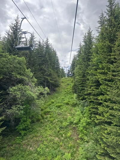 The image shows a chairlift ascending a mountain covered in lush green trees and vegetation. The sky is overcast with gray clouds. Several empty chairlift seats are visible, as well as a few with passengers. The chairlift appears to be in operation, transporting people up the mountain. The surrounding environment is a dense forest, with tall evergreen trees and a carpet of green grass and ferns covering the slopes. The overall scene suggests a scenic mountain landscape, likely a popular destination for outdoor recreation, such as hiking or skiing, given the presence of a chairlift. The location is specified as Panichishte, Bulgaria, a known mountain resort area.
