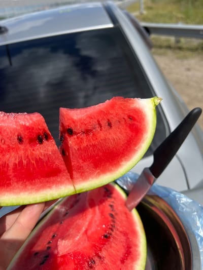 In a sunny outdoor setting, possibly in or near Александровка, Russia, a hand holds two bright red watermelon slices. The slices have visible black seeds and a thin green rind. Behind the watermelon, a silver car's trunk or hood is visible, reflecting the sky and surrounding environment. A black-handled knife is partially inserted into one of the watermelon slices, with its metallic blade showing. A shiny metal bowl, partially covered with a blue plastic bag, is situated to the right and below the watermelon slices. The background suggests a roadside or open area with a guardrail and vegetation.