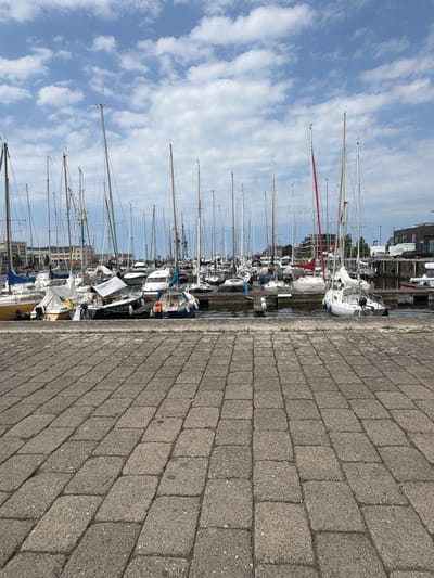 The image depicts a harbor filled with numerous sailboats docked in Wismar, Germany. The foreground is dominated by a stone-paved walkway, angled to create a sense of depth. Beyond the walkway, a body of water hosts a dense collection of sailboats of varying sizes, their masts creating a striking vertical pattern against the sky. The boats are moored side-by-side, with some covered and others showing their decks and cabins. In the background, buildings line the harbor, suggesting an urban setting. The sky is partly cloudy with a bright blue expanse, indicating daytime. There are no people visible in the scene. The overall impression is one of a peaceful, well-maintained harbor on a clear day.
