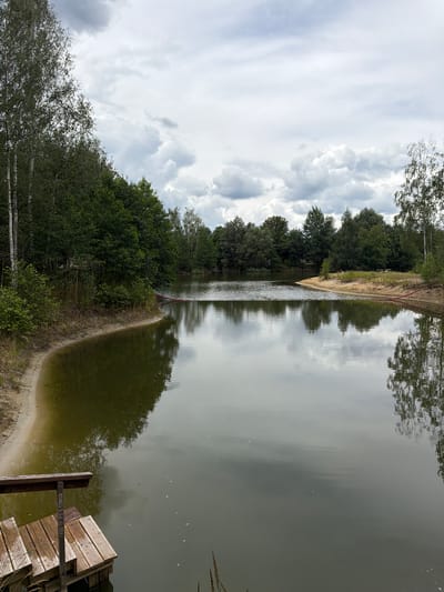 The image depicts a tranquil lake surrounded by lush green trees and a sandy shore, under a cloudy sky. In the foreground, a wooden jetty with several steps juts out into the murky green water. The lake is calm, with reflections of the trees and sky visible on its surface. The shoreline is a mix of sand and vegetation, with a dense forest bordering the lake. The overall impression is one of a natural, secluded landscape. The specific location in Dobrzyń, Poland, is a lake, likely a recreational area, possibly known for its natural beauty and as a place for relaxation or outdoor activities.