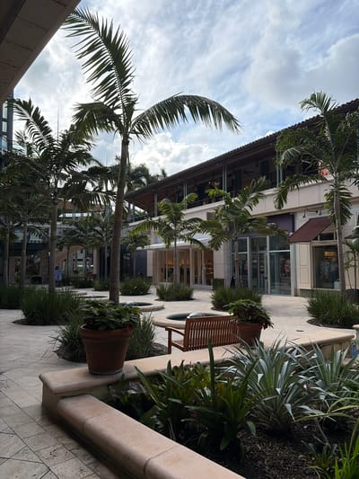The image shows an outdoor shopping area in Coral Gables, Florida, United States. The scene is dominated by palm trees lining a pedestrian walkway paved with light-colored stone tiles. On one side of the walkway is a multi-story building with shops and awnings. Large glass windows and doors display the interiors of the shops. There are planters with flowers and various green plants along the walkway. A wooden bench sits adjacent to one of the planters. The sky is visible through the palm trees, showing scattered clouds. The scene appears calm and quiet, with no people immediately visible.