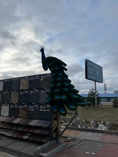 The image captures an outdoor scene in Bezborodovo, Russia. Prominently featured is a decorative artificial peacock, constructed with green "feather" tips adorned with blue and yellow "eyes." The peacock is positioned atop a display rack showcasing various types of stone or tile samples. Beside it, a sign with Russian text, translates to "Living in Zavidovo", also advertising apartments and land plots and displaying a website address "zavidovo.com." Further in the background, a paved area with bricks, stone blocks, and grass is visible. Transmission towers rise in the distance. The overcast sky dominates the upper portion of the frame.