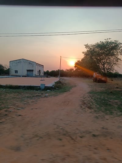 This image depicts an outdoor scene in Kothacheruvu, India, during late afternoon or early evening, indicated by the low sun. On the left midground stands a light-colored, single-story industrial-style building with a closed grey roll-up door and a single window on its left facade. In front of this building, a large, rectangular, elevated concrete or paved area is covered uniformly with light brown granular material, possibly agricultural produce, featuring two metallic structures centrally placed. A winding dirt track occupies the foreground and midground, curving towards the right side of the frame. To the right of this track, a large deciduous tree is present, behind which a yellow and black construction vehicle, consistent with a backhoe, is parked on sparse grassy ground. The sun is positioned low on the horizon, slightly left of the tree, emitting a strong orange glow and a diagonal lens flare. The sky transitions from a pale blue at the top to an orange-pink hue near the horizon, with two parallel overhead power lines visible traversing the upper portion. The surrounding terrain consists of unpaved dirt and sparse vegetation. No people are visible.