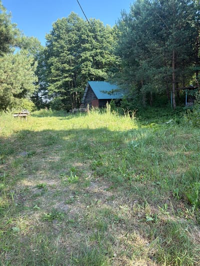 The image shows a rustic wooden cabin with a green metal roof situated amidst dense coniferous and deciduous trees. The cabin appears weathered, with visible wooden planks and a rustic metal door. In front of the cabin, a grassy clearing is visible, with patches of dry grass and scattered weeds, suggesting an outdoor or semi-rural environment. Sunlight dapples through the trees, creating shadows on the ground. The scene is devoid of people or any overt human activity, presenting a still and natural landscape. The location of Kamianka-Buzka, Ukraine, indicates a potentially Eastern European setting.