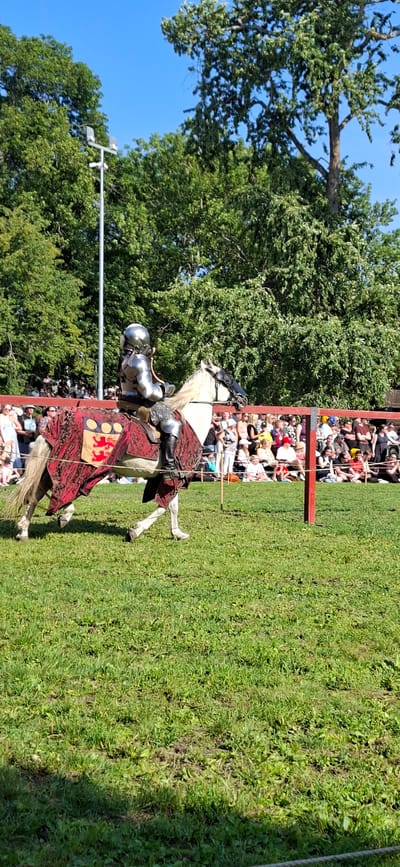 A person in full metal armor is riding a white horse across a grassy field. The horse is draped in a red and gold tapestry. A crowd of people are seated in the background, behind a red barrier. Trees and a bright blue sky are visible in the distance. This scene is likely from a jousting tournament or medieval reenactment event. The image does not provide specific information about the location within Turku, Finland.
