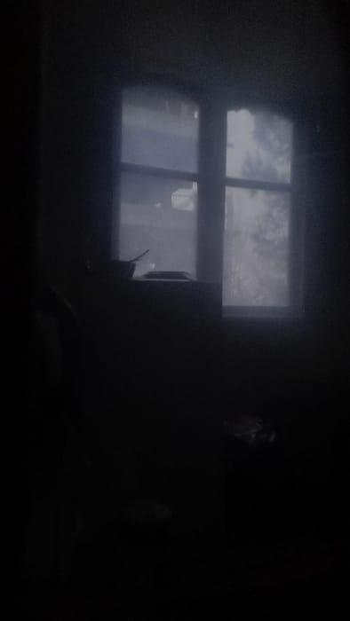 A dark, possibly interior, scene reveals a window with two panes reflecting an exterior view. The reflection shows trees and potentially sky. In the darker portion of the image, a partially visible figure appears, though details are obscured. The overall lighting is dim, making it difficult to discern details within the room. A small object sits on the ledge of one pane of the window.