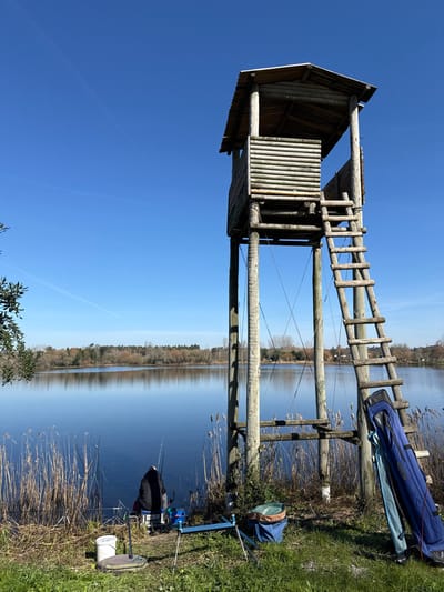 The image depicts a daytime scene at a lake in Mira, Portugal, under a clear, bright blue sky featuring faint contrails. A weathered wooden observation tower, constructed from debarked logs with a covered top section and an attached ladder, stands prominently on the right. Its lower structural supports are reinforced with diagonal metal bracing. To the left of the tower's base, a single individual, wearing a dark jacket, is seated on a low chair, facing the calm, dark blue water. Two fishing rods are actively deployed in a blue metal rod holder in front of the person. Additional fishing equipment includes a white bucket with a handle and a blue and green soft cooler bag on the grassy ground near the seated individual. A larger blue fishing rod case or gear bag leans against the base of the tower's ladder. The lake water, reflecting a distant treeline of mixed deciduous and evergreen trees, occupies the midground. Tall, dry reeds line the immediate shore in the foreground. Strong sunlight casts distinct shadows.