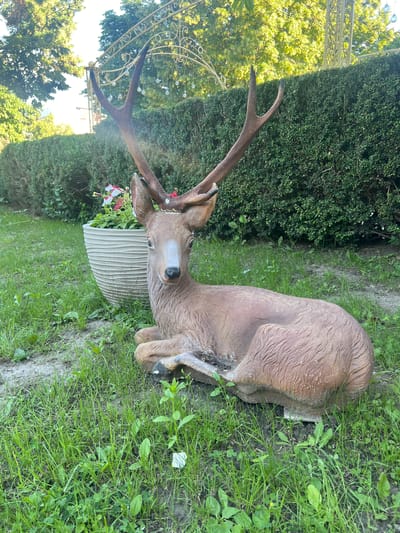 In a grassy outdoor area, a statue of a deer with prominent antlers is situated in front of a neatly trimmed green hedge. To the left of the deer statue, a large, textured planter holds blooming flowers, some of which are red and white. Behind the hedge, a decorative, ornate golden arch structure is visible, strung with small lights, and further back, lush green trees form a natural backdrop. The scene is illuminated by sunlight, suggesting it is daytime. The location is identified as the town council of Dubăsari, Moldova.
