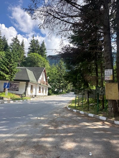 This media file shows a street scene in Panichishte, Bulgaria. A white and beige house with a dark green roof is visible on the left side of the image, surrounded by lush green trees and with a mountain in the background. A paved road runs alongside the house, with a white and grey curb. Sunlight casts dappled shadows across the road, suggesting it is daytime with clear skies and some clouds.
Several signs are posted on a tree to the left of the road. One sign, partially obscured, appears to be a map or information panel. Below it are signs with Bulgarian text and phone numbers, including "БОЛУ.-СОД" and "ПОСЕТИТЕЛСКИ ЦЕНТЪР" which translates to "VISITOR CENTER". Another sign with a blue background displays a white "i" symbol, indicating information. The presence of these signs, along with the natural mountain setting, suggests this is a tourist area or entrance to a park. The overall atmosphere is serene and natural, indicative of a mountain resort town.