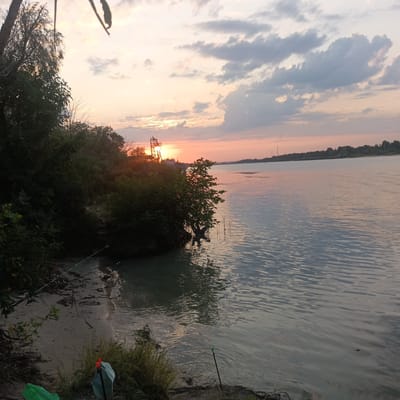 The image depicts a serene riverside scene at sunset, near Alitub, Russia. The sky is a canvas of soft pinks and oranges, with scattered clouds reflecting the fading light. A calm river flows gently, its surface rippling with the subtle colors of the sunset. On the left bank, dense green foliage lines the shore, with a few bare branches reaching towards the sky. In the distance, a tall, industrial structure, possibly a crane or tower, is silhouetted against the horizon, illuminated by the setting sun. The sandy bank in the foreground is dotted with vegetation and several fishing rods are set up, indicating people are engaged in fishing. A green plastic bag and a bucket with orange caps are visible near the bank. The overall atmosphere is tranquil, with the natural beauty of the landscape enhanced by the warm glow of the sunset.