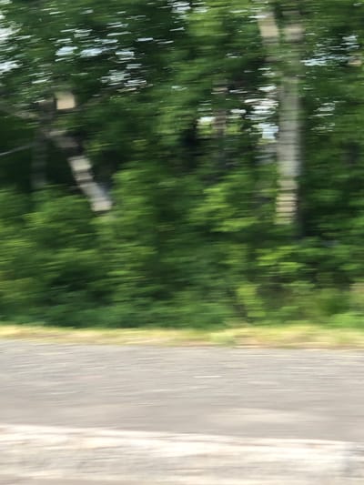 The image is a blurred, motion-captured photograph taken from a moving vehicle, likely on a sunny day. The scene is dominated by a swath of lush green trees and foliage, suggesting a natural or park-like setting. The motion blur streaks the image horizontally, indicating rapid movement. In the foreground, a portion of a road or paved surface is visible, with a lighter-colored area suggesting a shoulder or verge. The colors are predominantly greens and grays, with hints of bright white light, possibly reflections or sky peeking through the leaves. The image is devoid of any discernible people, structures, or specific landmarks that would help pinpoint a precise location within Светлый, Russia.