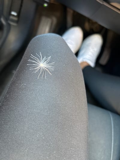 This image shows a close-up view of a person's legs and feet inside a car, with a dandelion seed attached to the fabric of the car seat. The person is wearing white sneakers and dark leggings. The car's interior is visible in the background, with dark dashboard components. The dandelion seed is a prominent detail, appearing as a small, spiky white object. The lighting suggests it is daytime. The overall impression is a mundane moment captured during travel. The location is Tankovo, Bulgaria. There is no visible text in the image.
