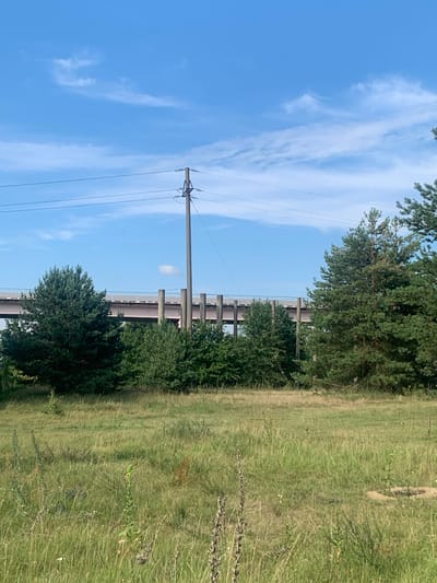 This image captures a rural landscape with a bridge spanning across the horizon under a bright blue sky with scattered white clouds. In the foreground, a field of tall, dry grass is visible, interspersed with some green vegetation. To the right of the frame, a large pine tree stands prominently. Behind the field and trees, a concrete bridge supported by columns stretches across the scene. A tall utility pole with electrical wires runs across the top of the image. The environment appears to be undeveloped, likely a rural or natural area. No people or animals are present in the scene. The location is in the Orlevsky Selsovet, Belarus.