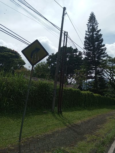 This image presents an outdoor, daylight scene in the city of Namthoung, Laos, characterized by natural vegetation, urban infrastructure, and a paved pathway under a partially cloudy sky.
In the immediate foreground, a weathered, diamond-shaped yellow road sign with a black border and a black arrow indicating a sharp right turn is prominently positioned on the left. The sign exhibits dark streaks and wear, suggesting exposure to the elements. It is mounted on a slender, grey metal pole that leans slightly to the viewer's left. To the right of the sign, a section of a dark grey paved path, composed of interlocking pavers, extends diagonally from the bottom right corner, curving slightly left into the midground. Green grass and unkempt vegetation line the path and occupy the immediate foreground.
In the midground, two utility poles stand vertically. The left pole is dark grey and thicker, supporting multiple black overhead power lines that stretch horizontally across the upper frame. The right pole is thinner and reddish-brown, also supporting wires. Behind the path and poles, a dense, overgrown hedge or wall of dark green foliage extends horizontally across the scene. Above this foliage, the reddish-brown tiled roofs of one or more structures are partially visible.
The background consists of a dense treeline dominated by various green trees. A tall, slender, dark green conifer tree stands prominently on the right side of the frame, towering above other foliage. The sky above is partially obscured by white and grey clouds, indicating daylight conditions. No individuals or animals are visible within the frame.
