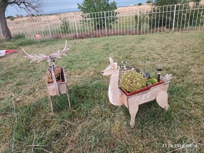 In the city of Belozem, Bulgaria, on the morning of June 13, 2026, two wooden decorative deer are positioned in a grassy area. The deer are designed to function as planters. The deer on the left has antlers and a planter filled with dried straw. The deer on the right is filled with small flowering plants and has a solar-powered garden light. In the background, a white metal fence separates the yard from a field. A red sign with white lettering is attached to the fence. The sky is overcast.