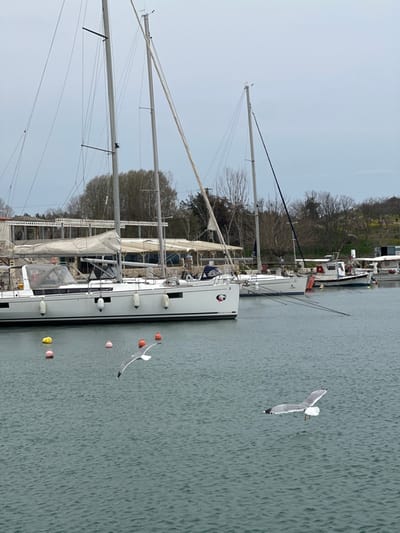 The image captures a harbor scene in Limenas Avdiron, Greece, under an overcast sky. The foreground consists of rippled, dark green water. Five buoys are visible: three orange with white tops and two yellow. Two seagulls are present; one is in mid-flight, wings spread, low over the water, moving left, and another is floating on the water's surface to the right, facing right. In the midground, several boats are docked. A prominent white Beneteau sailboat, featuring a grey hull stripe, black fenders, a dark cockpit canopy, and two tall masts with rigging, is visible on the left. Behind it, another white sailboat is partially visible. Further right, a smaller, older fishing vessel is also docked. The background displays the shoreline, featuring a light-colored building with a multi-level, ornate balcony structure and an awning or covered area. Bare deciduous trees and some green vegetation populate the land beyond the building, rising on a gentle slope. No people are visible.