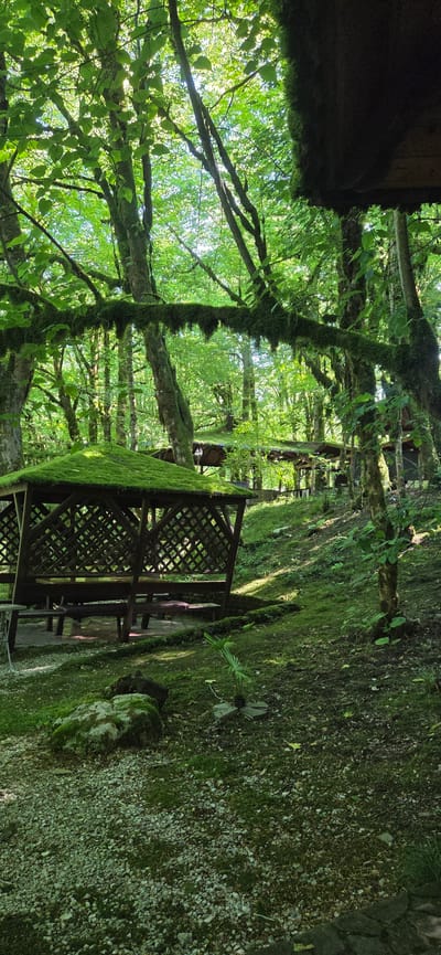 The image depicts a wooded outdoor seating area with thatched-roof gazebos. The gazebos are made of dark wood and have latticed sides. They are surrounded by lush green trees and vegetation, with moss growing on the gazebo roofs and on fallen branches. The ground is covered in a mix of gravel and moss. The scene is bathed in dappled sunlight filtering through the dense canopy. It appears to be a tranquil, natural setting. The specific location is identified as Khleborob, Russia. No people are visible in the image.