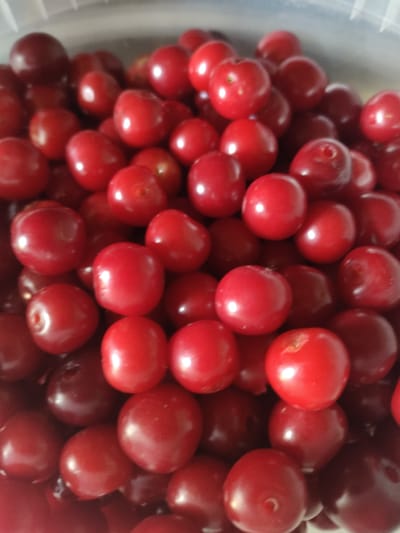 The image displays a close-up, overhead view of a large pile of ripe, red cherries. The cherries are primarily round, with some appearing slightly oval. They exhibit a glossy sheen, indicating freshness, and the color ranges from bright red to a deeper, almost burgundy hue. Some cherries show subtle variations in color and small imperfections, such as indentations or slight blemishes, which are typical of fresh fruit. The cherries are densely packed, filling the frame, and there is no visible background other than a hint of a light-colored, textured surface at the very top edge of the image, suggesting they might be in a container. No people or specific locations within the city of Молодёжный, Kazakhstan, are discernible in this image.