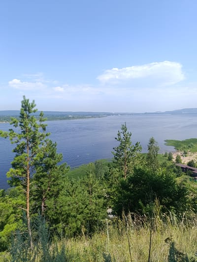 The image captures a wide view of a large river with a clear blue sky above, dotted with a few white clouds. In the foreground, a steep, grassy slope is covered in dry grasses and wildflowers, with several pine trees scattered among them. The river stretches out towards the horizon, with a distant shoreline visible, featuring trees and some buildings. A sandy beach with numerous people sunbathing and swimming is visible along the right bank of the river, in what appears to be Solnechnaya Polyana, Russia. A few small boats are on the water. The overall scene depicts a sunny summer day in a scenic natural setting.