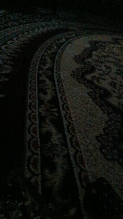 The image depicts a close-up, dimly lit view of a patterned carpet. The carpet exhibits curved sections with intricate designs, primarily in dark shades with hints of red and lighter tones. The texture of the carpet appears somewhat coarse, and the image quality is low with noticeable digital noise and graininess, suggesting it may have been taken in low light conditions or with a low-resolution camera. There is no discernible information about the location in Shamsiabad, Uzbekistan, within the visual content of the image. The scene is devoid of any human presence or activity, focusing solely on the textured surface of the carpet.