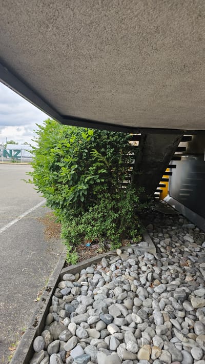 The image depicts an outdoor scene in Neu-Ulm, Germany, beneath a concrete overhang. To the left, a paved area with a white line marking is visible, suggesting a parking lot or roadway. A dense green hedge occupies the central portion of the frame, with a variety of foliage. To the right, a concrete staircase descends, with visible metal railings and steps. The ground area near the hedge and stairs is covered with a multitude of grey and beige stones. In the background, a building with the letters "NZ" is partially visible. The sky is overcast. There are no people or animals present in the image, and no discernible actions or interactions are taking place. The scene appears to be a static, everyday environment.
