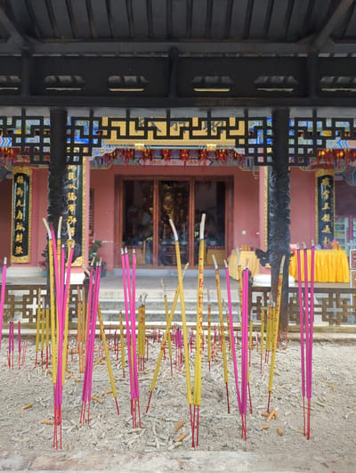 In Dali City, China, this photograph captures a close-up view of an incense burner filled with sand and numerous incense sticks, both lit and unlit, in front of a temple. The incense sticks are predominantly pink and yellow, with some showing signs of being burned down to their wooden core. The sand is covered with ash and remnants of burnt incense. In the background, a pink-colored building with traditional Chinese architectural elements, including ornate eaves and decorative screens, is visible. Golden statues and tables covered with yellow cloths can be seen through the entrance of the building. Vertical black pillars with carved details support the roof structure. The overall scene conveys a sense of religious devotion and cultural tradition.
