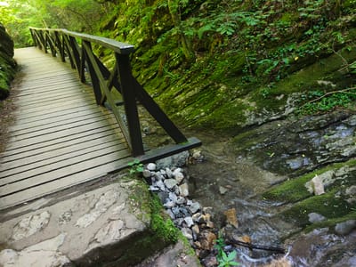 An elevated wooden boardwalk with a dark wooden railing follows a path through a lush, green forest. A small stream flows alongside the boardwalk, bordered by moss-covered rocks and stones. The natural environment is densely vegetated with trees and various plants. The scene is set in the city of Teteven, Bulgaria, likely within a natural park or hiking area.