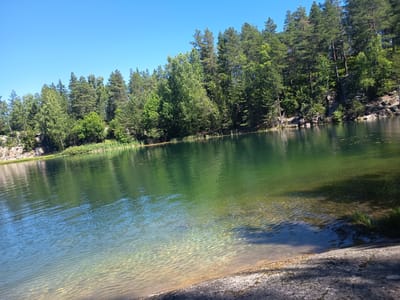 The image depicts a serene lake scene set against a backdrop of lush green trees and rocky terrain. The sky is a clear, vibrant blue, suggesting a sunny day. The water of the lake is a striking emerald green, with ripples indicating a gentle breeze. In the foreground, the sandy bottom of the lake is visible through the clear water, with some areas appearing shallower and lighter in color. The shoreline is lined with reeds and then transitions into a dense forest of pine and deciduous trees. Rocky outcrops are interspersed with the trees along the far bank. The overall impression is one of natural beauty and tranquility. The lighting and clear sky suggest it is daytime, likely late morning or early afternoon. There are no visible people or objects that would indicate a specific activity or event. The location is identified as Drammen, Norway.