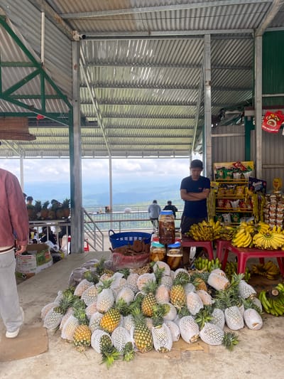 In Nam Hải, Vietnam, this image captures an outdoor market stall with a corrugated metal roof supported by metal poles. In the foreground, a large pile of pineapples, many individually wrapped in white mesh netting, lies on the concrete floor. Behind the pineapples, a blue basket and a red basket filled with what appears to be dried goods are visible. To the right, a man in a dark t-shirt and shorts stands with his arms crossed, facing a display rack stocked with various bagged snacks and candies. Several bunches of bananas are also displayed on red plastic stools. In the background, people are seen standing near a railing, overlooking a scenic mountainous landscape under a cloudy sky. The overall scene depicts a vibrant roadside market offering fresh produce and snacks.
