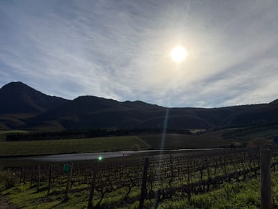 This is a landscape photograph taken in the city of Theewaterskloof Nu, South Africa. The image captures a vineyard in the foreground, with rows of dormant grapevines stretching towards the horizon. A calm body of water, likely a dam or pond, lies behind the vineyard, reflecting the sky. In the mid-ground, terraced fields of green crops are visible, ascending the rolling hills. The background is dominated by a dark, silhouetted mountain range under a bright, partly cloudy sky. The sun is a prominent feature in the upper right quadrant, casting a bright glow and lens flare. A green bucket is visible hanging on a post within the vineyard. The overall scene depicts a rural, agricultural setting.