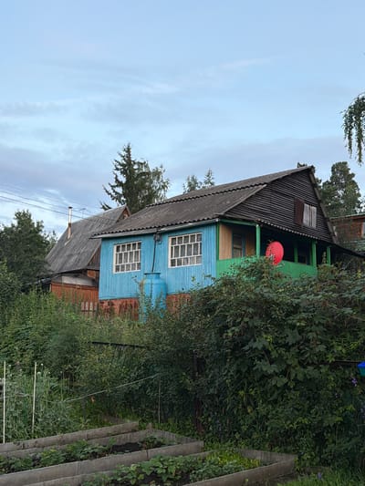 The image shows a rural scene in Minino Stantsiya, Russia, featuring a weathered wooden house with blue and green painted walls. The house has a dark, corrugated roof and a covered porch. A bright red satellite dish is mounted on the porch railing. The house is surrounded by dense green foliage and appears to be in a state of disrepair, with visible rust on some of the lower exterior walls. In the foreground, raised garden beds are visible, containing young plants. The sky is overcast with light clouds. The overall impression is one of a secluded, somewhat neglected residential property in a natural setting.