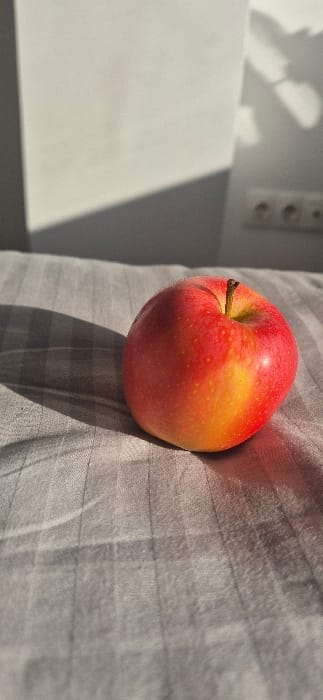 A single, unblemished apple, predominantly red with significant yellow and orange coloration, rests on a light grey, vertically striped fabric surface. The apple features a brown stem at its top indentation. Strong, directional natural light from the left casts a prominent shadow of the apple onto the fabric and illuminates the scene. In the background, a plain white wall is visible, displaying a diagonal shadow line on the lower left and an irregular, possibly foliage-related shadow pattern on the upper right. An electrical outlet plate with two round sockets is mounted on the wall to the right. The scene is located in Tixeraïne, Algeria.