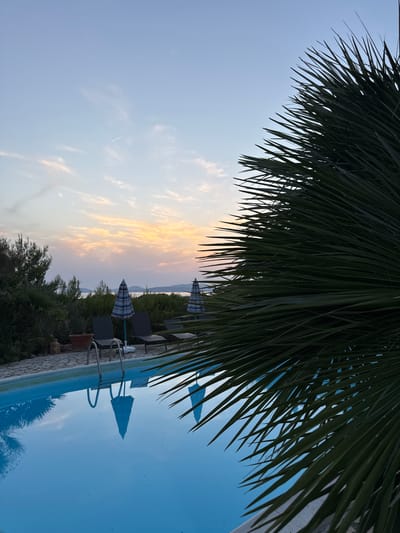 The image shows a swimming pool at dusk, with a palm frond in the foreground obscuring part of the view. In the background, there are lounge chairs, umbrellas, and trees, with the sea and hills visible in the distance under a sky with soft clouds tinged with sunset colors. The reflection of the pool ladder and an umbrella is visible in the still water. The location is likely a private residence or hotel in the Alghero area of Sardinia, Italy, given the presence of Mediterranean vegetation and the coastal setting. There are no people or animals visible in the image.
