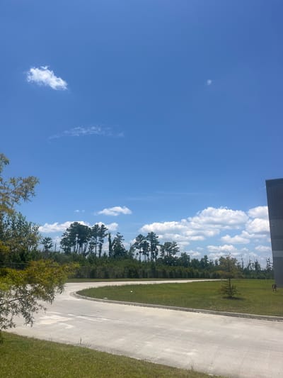 A bright, sunny day is depicted in this image, which appears to be taken in Pooler, Georgia, United States of America. The sky is a vibrant blue, with a few scattered white clouds. A paved road curves through the foreground, bordered by green grass. Beyond the road, a line of tall pine trees stands against the horizon, with a dense forest behind them. A modern, dark-colored building is visible on the far right of the frame, its angular structure contrasting with the natural landscape. In the middle ground, a small, solitary tree grows in the grassy area. A small, white object, possibly trash, is visible on the edge of the grass near the road. On the far right, a dog with brown and tan markings is walking on the grass. The overall scene suggests an outdoor environment, possibly on the outskirts of a city or industrial area, given the presence of the building and paved roads.