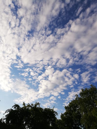 The image depicts a view of the sky from below, with a prominent expanse of blue sky filled with scattered white clouds. The clouds are irregular in shape and size, varying from small wisps to larger, more defined formations. The lighting suggests it is daytime, possibly late afternoon, with sunlight filtering through the clouds and illuminating their edges. In the lower portion of the image, the dark silhouettes of the tops of several trees are visible, obscuring the ground and any potential urban landscape. The trees are dense with foliage, indicating a natural or park-like setting within the city of Novopogoshchensky Selsoviet, Belarus. There are no people or discernible actions taking place in the scene; it is a static environmental shot focused on the sky and tree canopy.