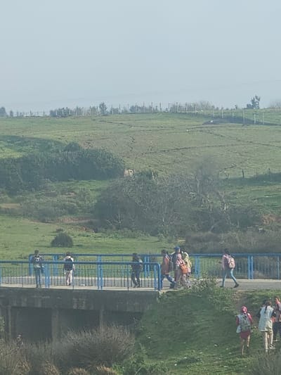 The image captures a scene in the city of Ameur عامر, Morocco, depicting a concrete bridge spanning a depression in a green, hilly landscape. Approximately 14 individuals, largely appearing to be students and carrying various backpacks, are visible. On the bridge, a group of seven individuals are walking from right to left across the paved surface, which is bordered by blue metal railings. Two additional individuals are also on the bridge: one leans on the far left railing, and another stands near the center. Below and to the right of the bridge, a group of four individuals are walking uphill on a grassy slope. A single individual is partially obscured by dense brush in the lower left foreground, beneath the bridge structure. The environment consists of rolling green hills, some with scattered trees and a distant fence line marked by posts. The sky above is light and hazy.