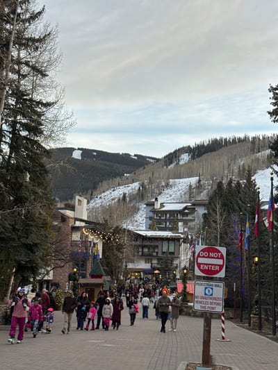 A winter scene captures a pedestrian mall teeming with people. Buildings decorated with lights line the walkway, set against a backdrop of snow-covered mountains and trees. A "Do Not Enter" sign and a "Pedestrian Mall" sign are visible, indicating a restricted area for vehicles. People are bundled in winter clothing, suggesting cold weather. Festive flags adorn the streetlights, adding to the atmosphere.