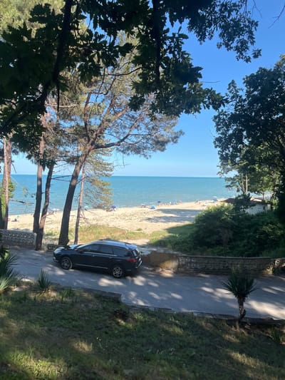 The image captures a sunny day at a beach in Bliznatsi, Bulgaria, as suggested by the location context. The scene is viewed from an elevated vantage point, looking down towards the sea. In the foreground, lush green trees with visible branches frame the view, partially obscuring the beach and ocean.
The beach itself is sandy and appears to be moderately populated with people, some of whom are visible as small figures enjoying the sun and sea. Beach umbrellas dot the sand, indicating a typical beach day activity. The water is a clear blue, stretching out to meet a bright, cloudless sky.
Adjacent to the beach, a paved pathway runs alongside a grassy area with some vegetation, including a palm-like plant. A dark-colored car is parked on this pathway, its presence suggesting easy access to the beach. The lighting suggests it is daytime, with the sun casting shadows from the trees onto the pathway. The overall atmosphere conveyed is one of a peaceful and pleasant summer day at the seaside. There is no visible text in the image.
