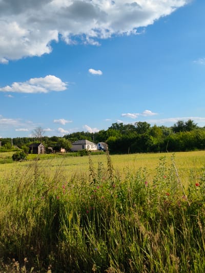 This is a landscape photograph taken in Matiashivka, Ukraine, on a sunny day with scattered clouds. The scene depicts a rural setting with a field of tall, golden-green grass in the foreground, interspersed with small pink and red wildflowers. Beyond the field, a line of lush green trees forms the backdrop.

In the middle ground, several structures are visible. To the left, a small, rustic wooden shed with a dark roof stands near a bare tree. Further to the right, a light-colored house with a gray roof and blue trim is situated. A small blue vehicle is parked in front of another building to the far right. The overall impression is one of a peaceful, rural countryside. The bright blue sky with fluffy white and gray clouds suggests it is daytime, likely late afternoon or early evening given the golden hue of the field. No people or specific activities are depicted, and there is no visible text in the image.