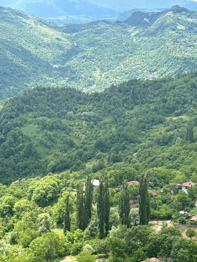 An aerial view shows a lush green mountainous landscape with scattered buildings. The foreground features a cluster of tall, slender trees and various deciduous trees. Several buildings with red tile roofs are visible nestled among the foliage. In the mid-ground, more trees cover the slopes, with some appearing to be deciduous and others coniferous. In the background, rolling hills covered in dense forest stretch into the distance under a hazy sky. The image depicts a rural or semi-rural environment, possibly a village in the mountains of Georgia, near Gagulechi. There are no people or animals clearly visible in the image.